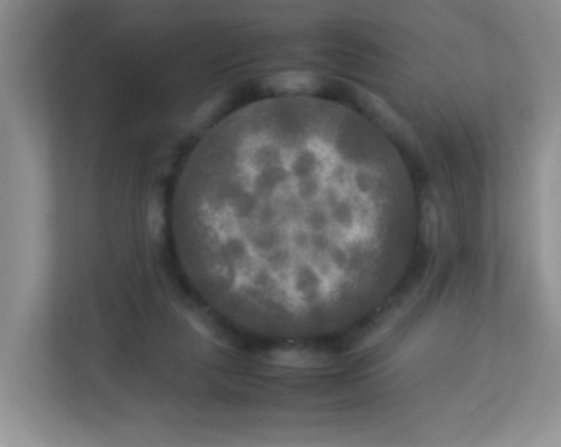 X0000113290259200909281018