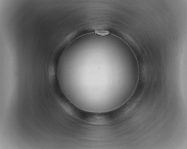 X0000113290260200909281018