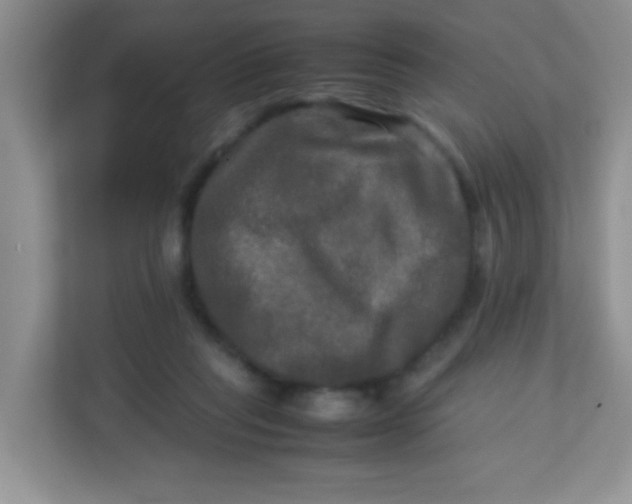 X0000113290261200909281018