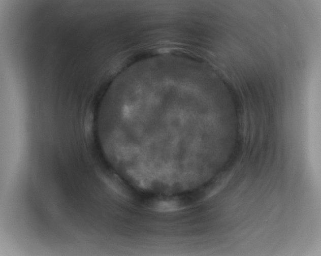 X0000113290263200909281018