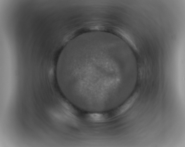 X0000113290265200909281018