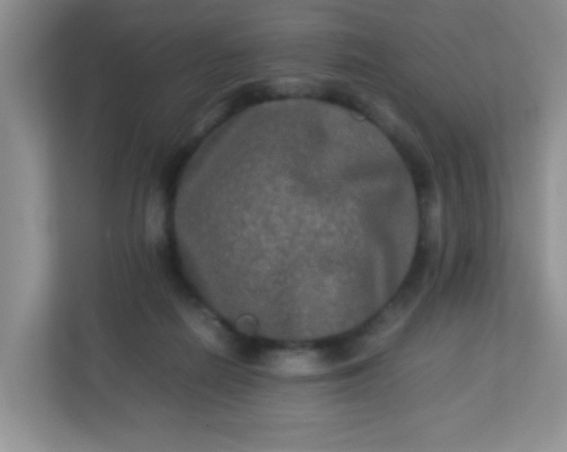 X0000113290266200909281018