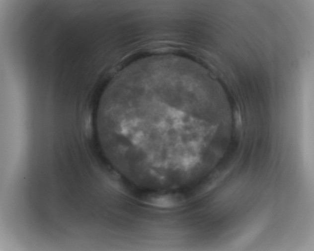 X0000113290267200909281018