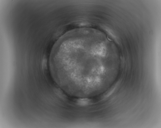 X0000113290269200909281018