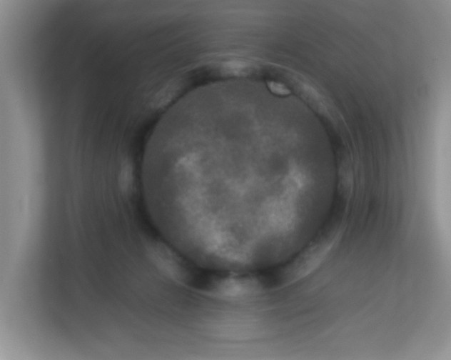 X0000113290270200909281018