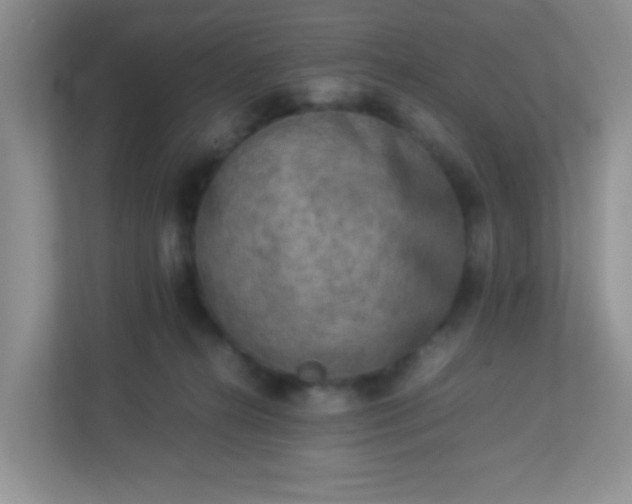 X0000113290272200909281018