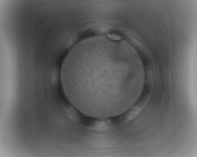 X0000113290274200909281018