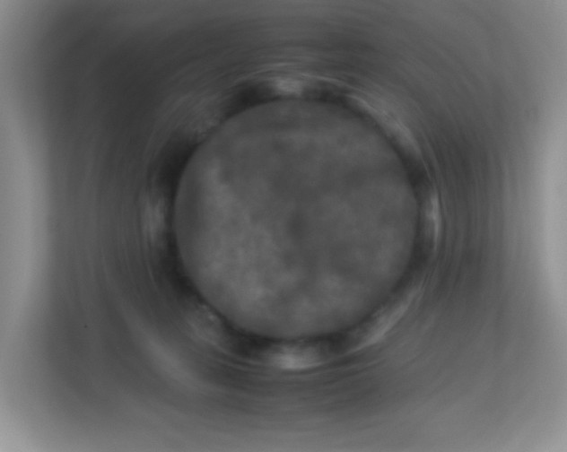 X0000113290275200909281018