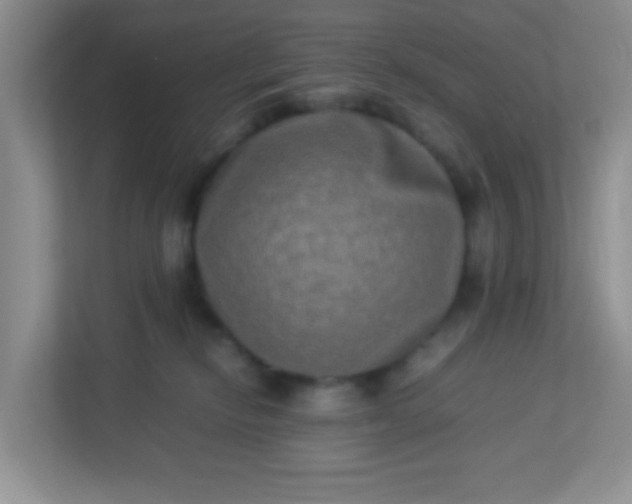 X0000113290278200909281018