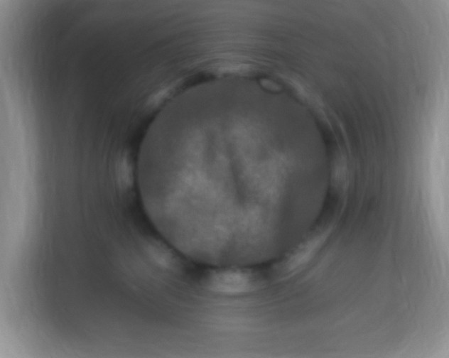 X0000113290282200909281018