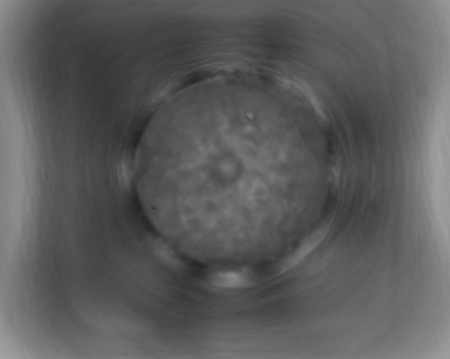 X0000113290285200909281018