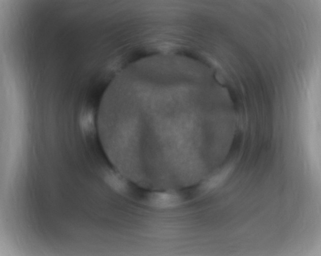 X0000113290286200909281018