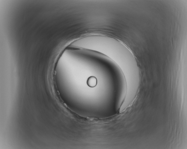 X0000113290289200909281018