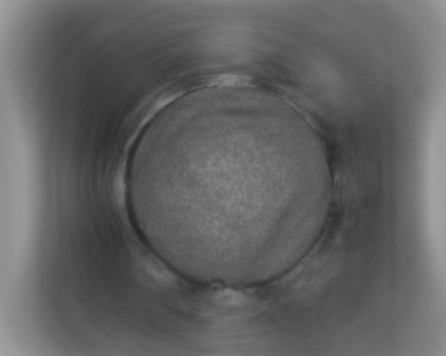 X0000113290290200909281018