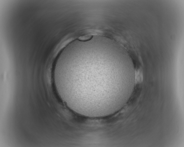 X0000113290291200909281018