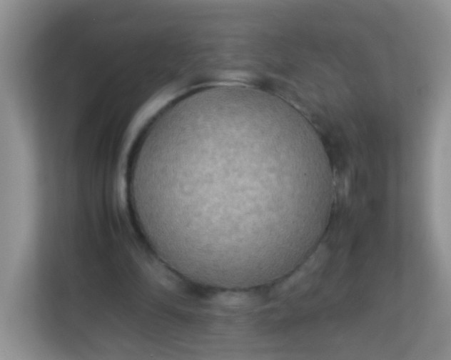 X0000113290294200909281018