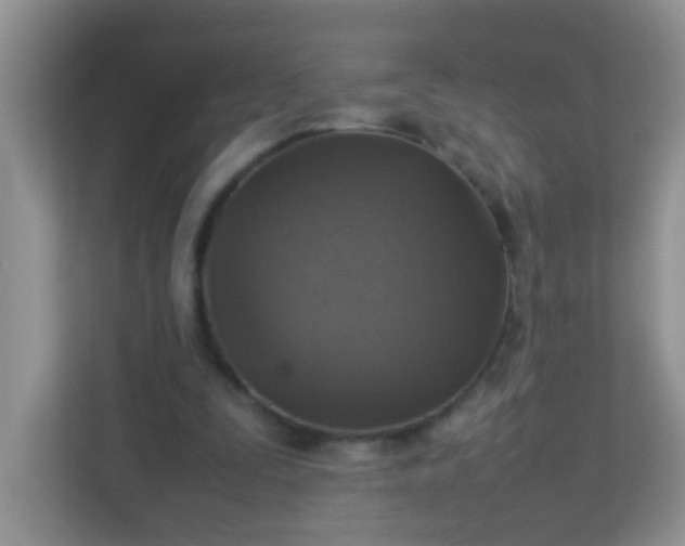 X0000113290295200909281018