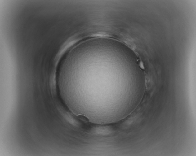 X0000113290296200909281018