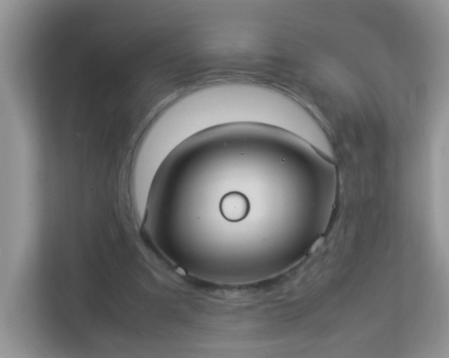 X0000113290297200909281017