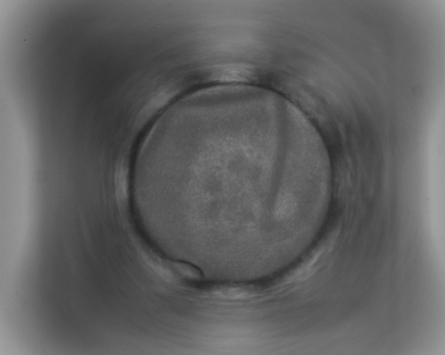 X0000113290299200909281017