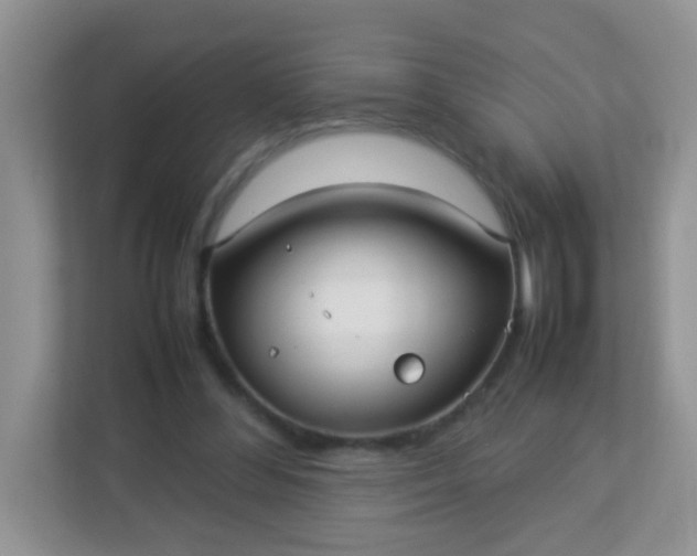 X0000113290300200909281017