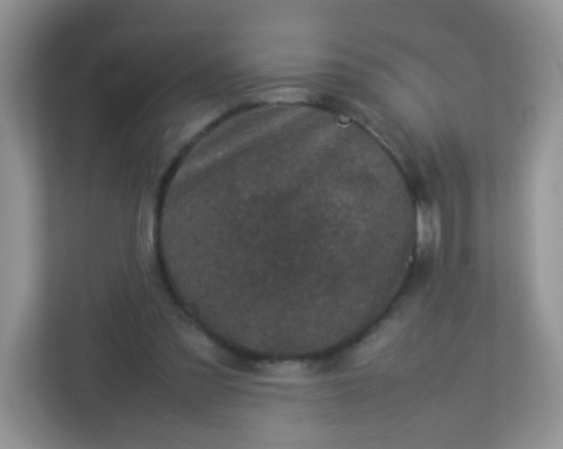 X0000113290301200909281017