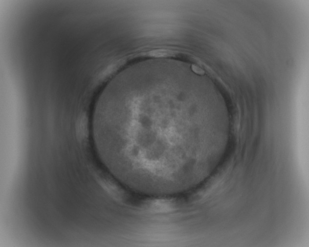 X0000113290303200909281017