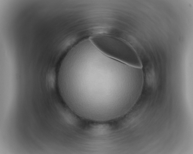 X0000113290304200909281017