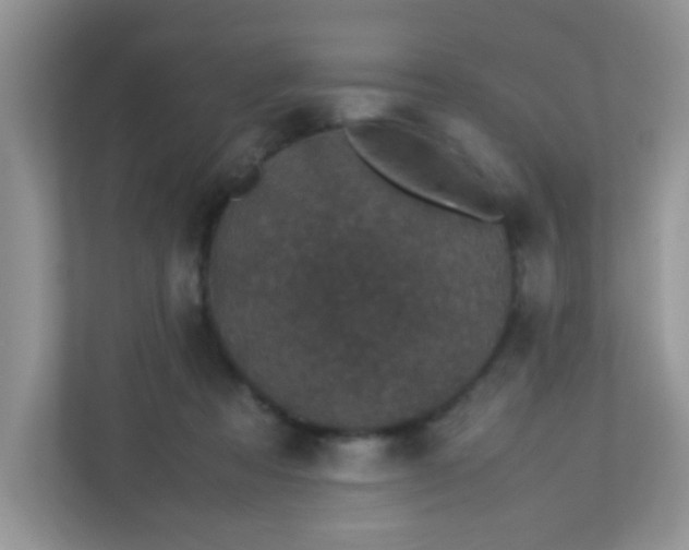 X0000113290313200909281017