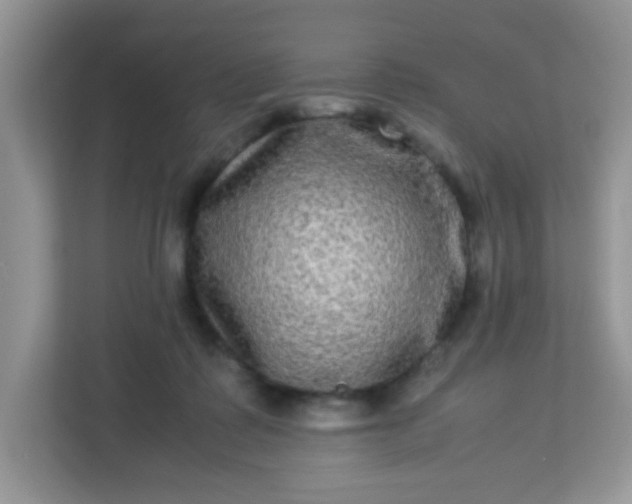 X0000113290315200909281017