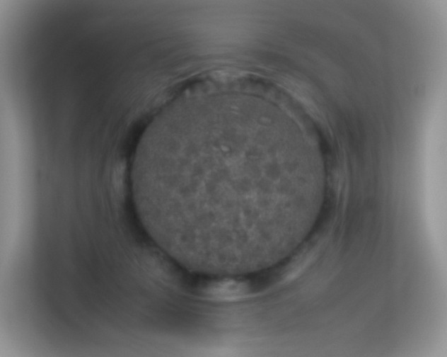 X0000113290319200909281017