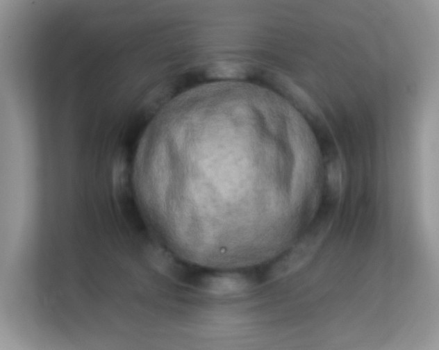 X0000113290322200909281017