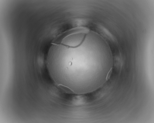 X0000113290324200909281017