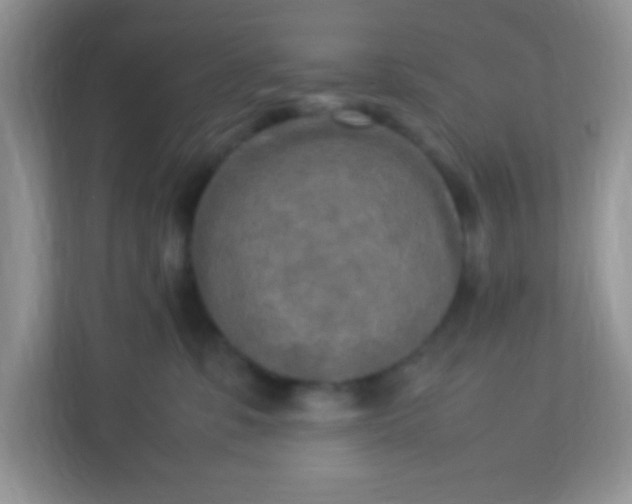 X0000113290331200909281017