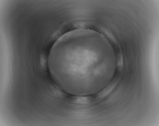 X0000113290332200909281017