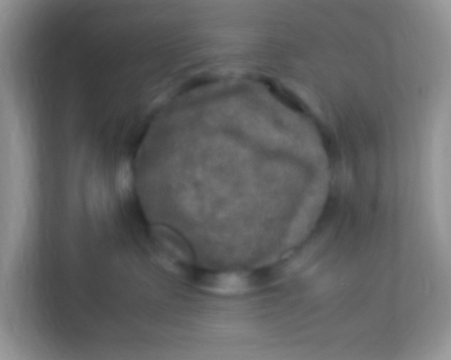 X0000113290335200909281017