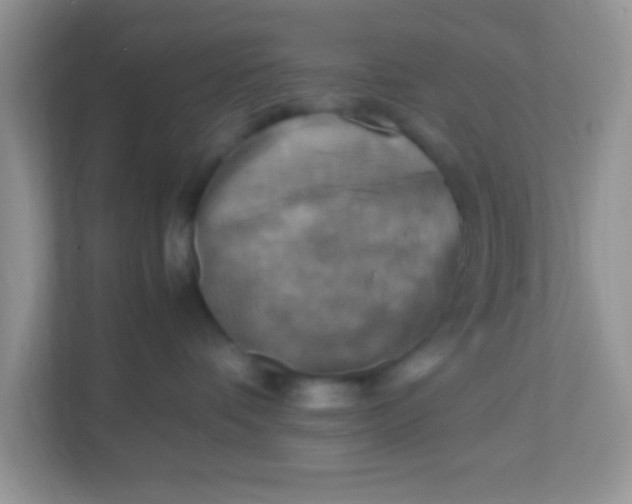 X0000113290336200909281017