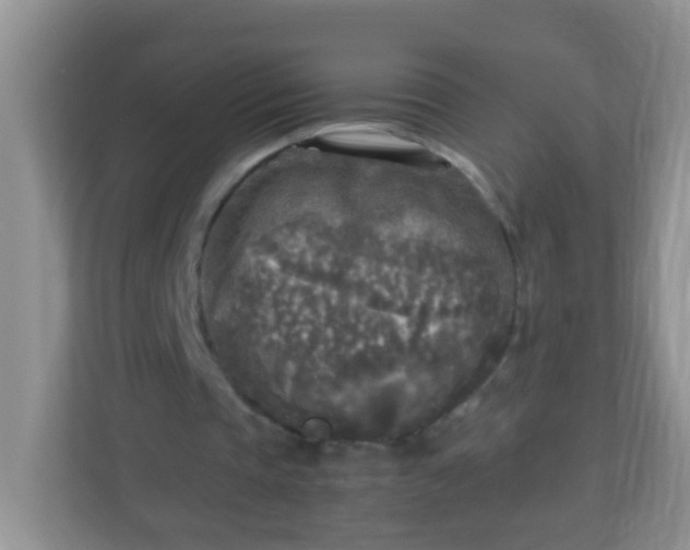 X0000113290337200909281016