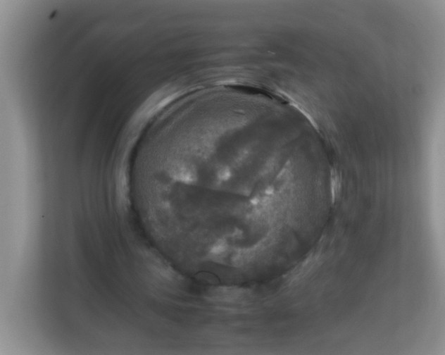 X0000113290339200909281016