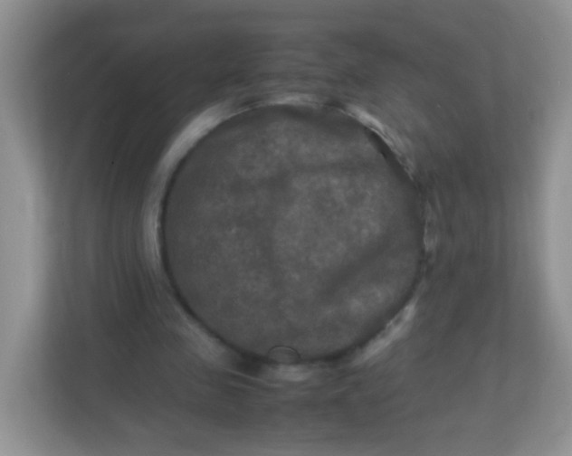 X0000113290341200909281016