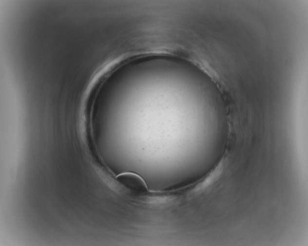 X0000113290342200909281016