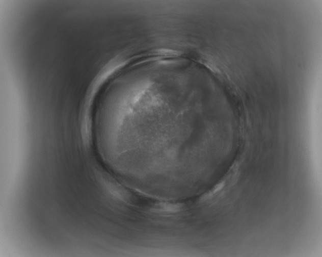 X0000113290343200909281016