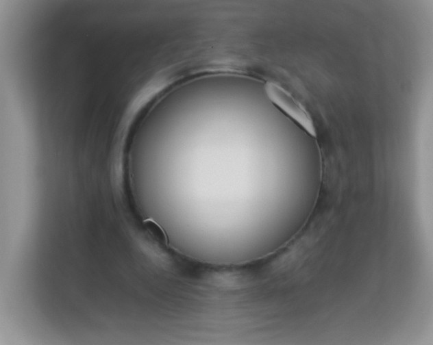 X0000113290344200909281016