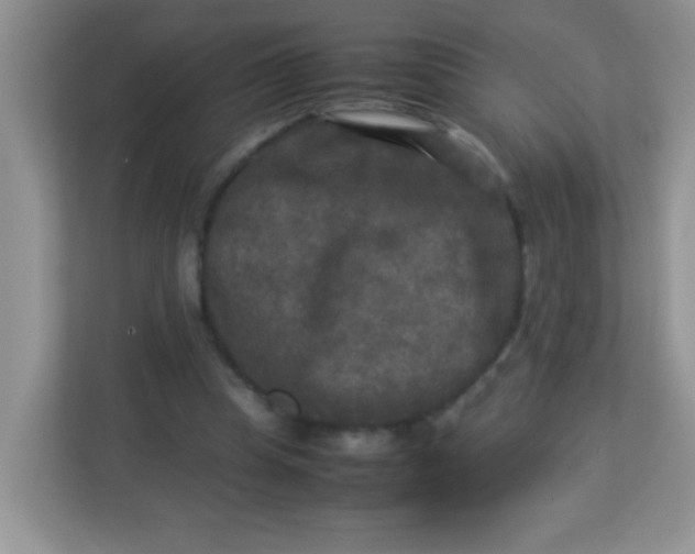 X0000113290345200909281016