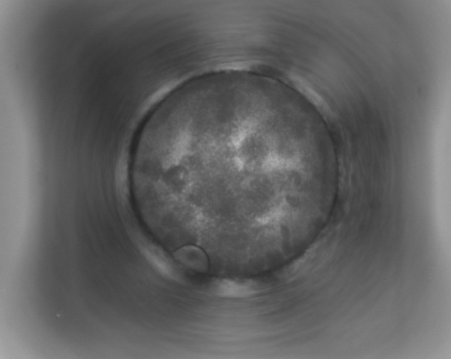 X0000113290346200909281016