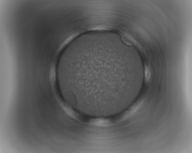 X0000113290348200909281017