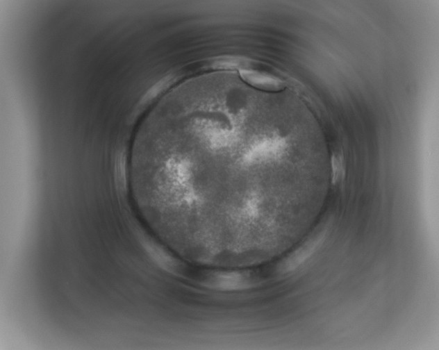 X0000113290349200909281017