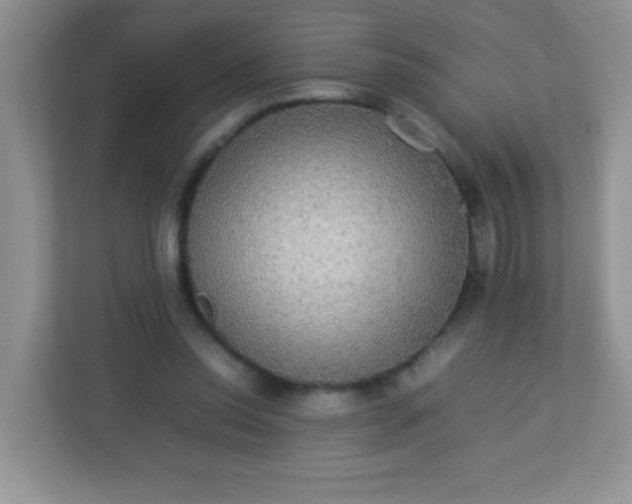 X0000113290350200909281017