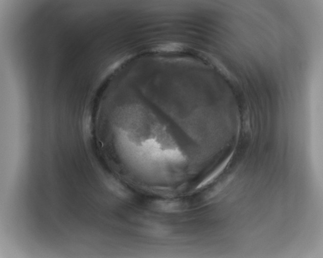 X0000113290351200909281017