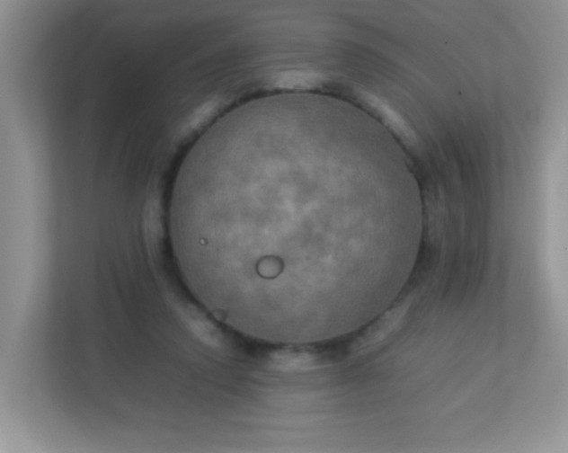 X0000113290354200909281017